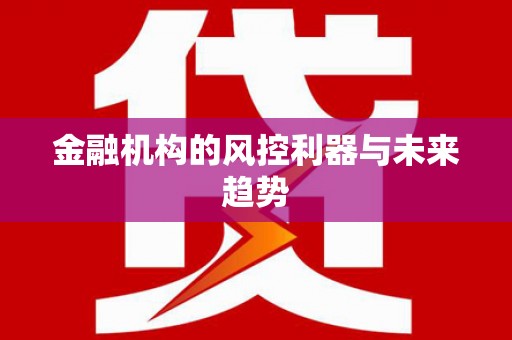 康乐金融机构的风控利器与未来趋势