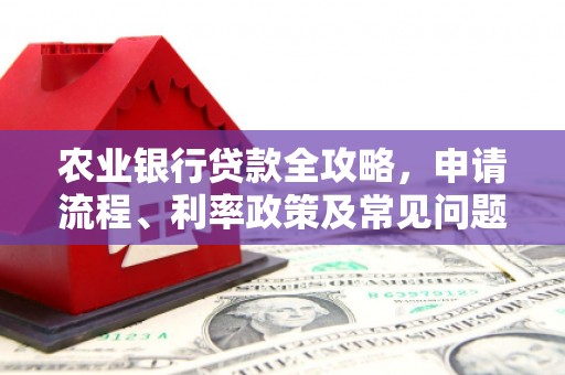 康乐农业银行贷款全攻略，申请流程、利率政策及常见问题解析