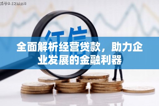 康乐全面解析经营贷款，助力企业发展的金融利器