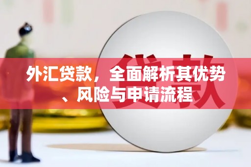 康乐外汇贷款，全面解析其优势、风险与申请流程