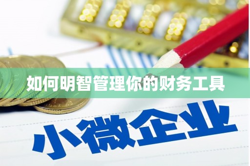 康乐如何明智管理你的财务工具