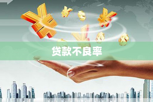 康乐贷款不良率