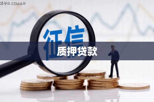 康乐质押贷款