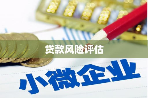 康乐贷款风险评估