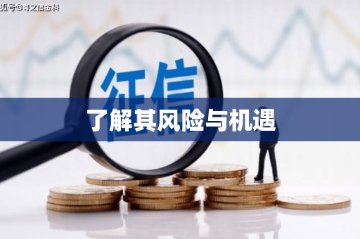 康乐了解其风险与机遇