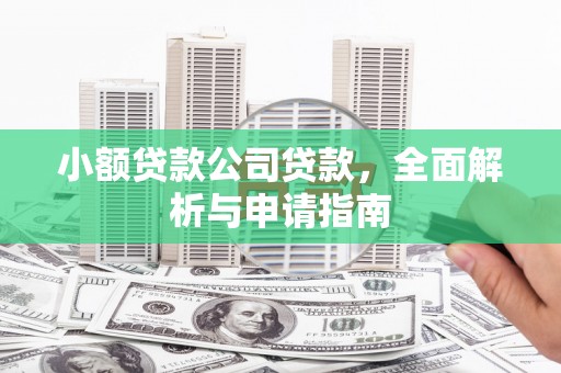 康乐小额贷款公司贷款，全面解析与申请指南