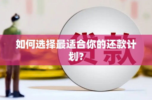 康乐如何选择最适合你的还款计划？