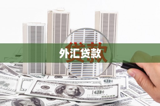 康乐外汇贷款