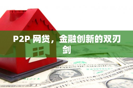康乐P2P 网贷，金融创新的双刃剑