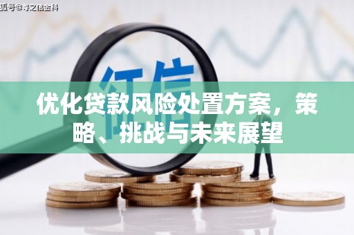 康乐优化贷款风险处置方案，策略、挑战与未来展望