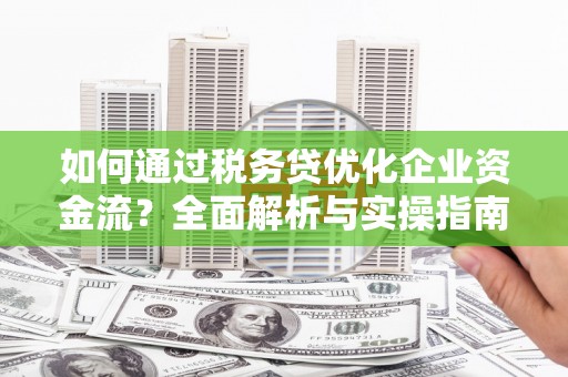 康乐如何通过税务贷优化企业资金流？全面解析与实操指南