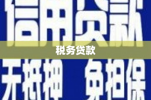 康乐税务贷款