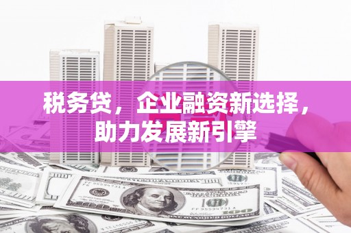 康乐税务贷，企业融资新选择，助力发展新引擎
