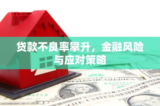 康乐贷款不良率攀升，金融风险与应对策略