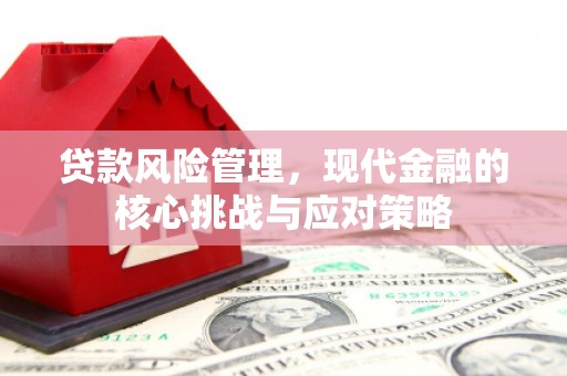康乐贷款风险管理，现代金融的核心挑战与应对策略
