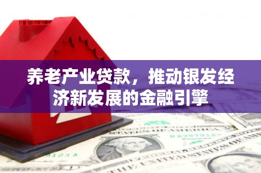 康乐养老产业贷款，推动银发经济新发展的金融引擎