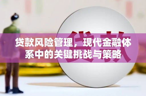 康乐贷款风险管理，现代金融体系中的关键挑战与策略