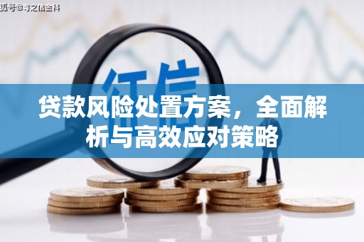 康乐贷款风险处置方案，全面解析与高效应对策略