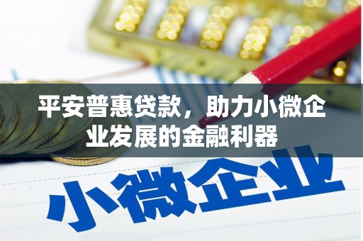 康乐平安普惠贷款，助力小微企业发展的金融利器