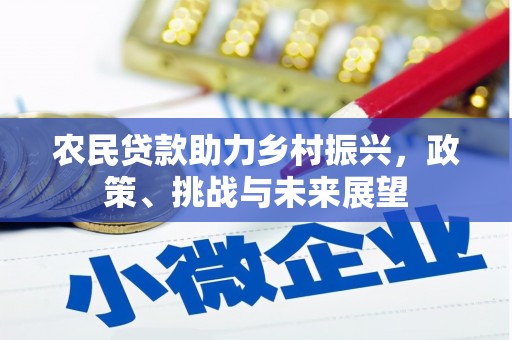 康乐农民贷款助力乡村振兴，政策、挑战与未来展望