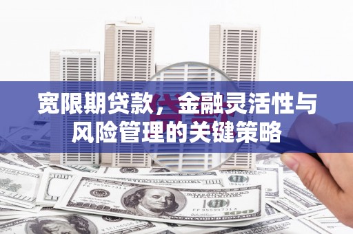 康乐宽限期贷款，金融灵活性与风险管理的关键策略