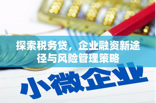 康乐探索税务贷，企业融资新途径与风险管理策略