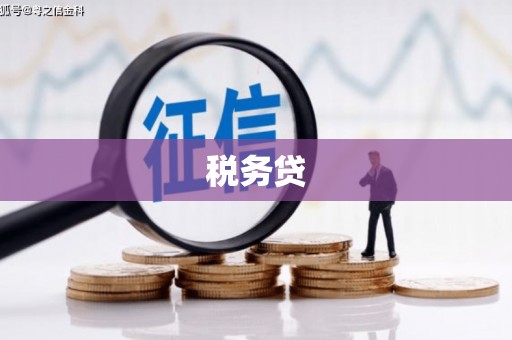 康乐税务贷