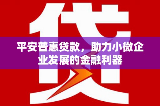 康乐平安普惠贷款，助力小微企业发展的金融利器