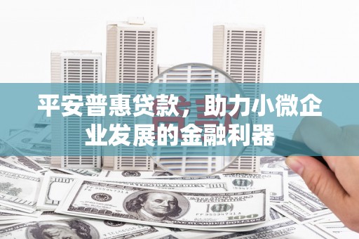 康乐平安普惠贷款，助力小微企业发展的金融利器