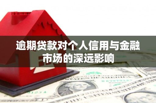 康乐逾期贷款对个人信用与金融市场的深远影响