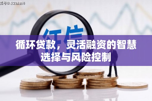 康乐循环贷款，灵活融资的智慧选择与风险控制
