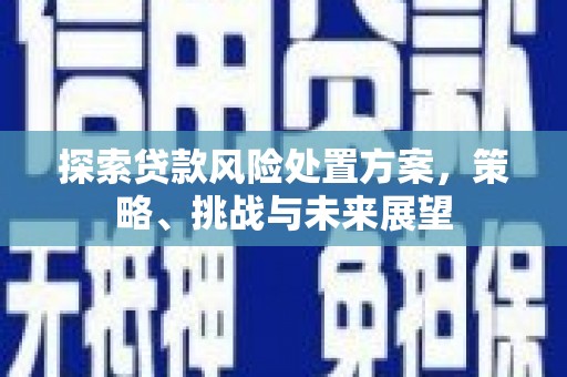 康乐探索贷款风险处置方案，策略、挑战与未来展望