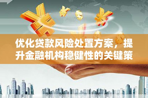康乐优化贷款风险处置方案，提升金融机构稳健性的关键策略