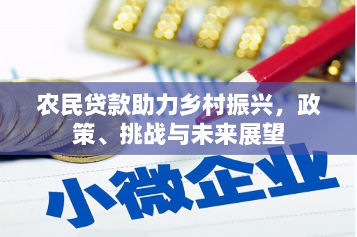 康乐农民贷款助力乡村振兴，政策、挑战与未来展望
