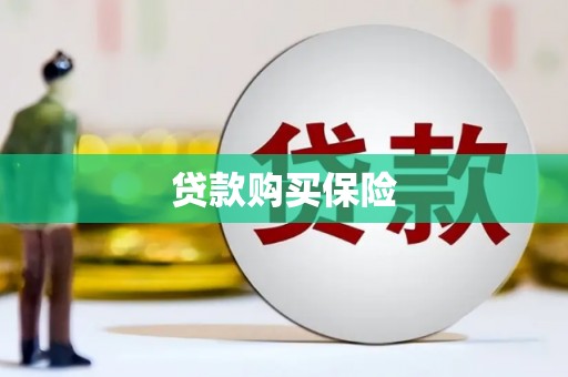 康乐贷款购买保险
