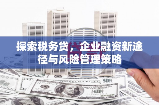 康乐探索税务贷，企业融资新途径与风险管理策略