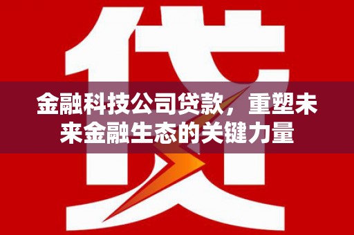 康乐金融科技公司贷款，重塑未来金融生态的关键力量