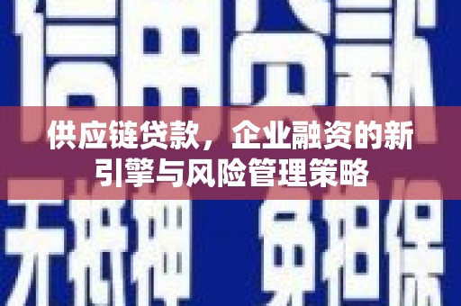 康乐供应链贷款，企业融资的新引擎与风险管理策略