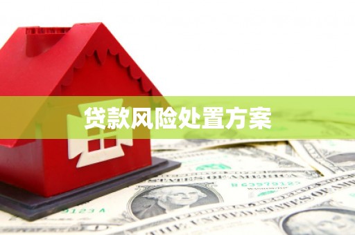 康乐贷款风险处置方案
