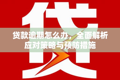 康乐贷款逾期怎么办，全面解析应对策略与预防措施