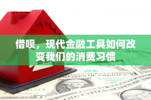 康乐借呗，现代金融工具如何改变我们的消费习惯