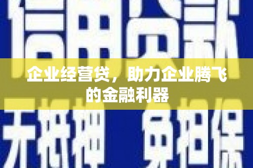 康乐企业经营贷，助力企业腾飞的金融利器