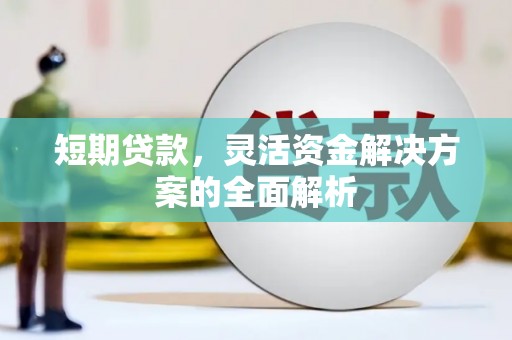 康乐短期贷款，灵活资金解决方案的全面解析