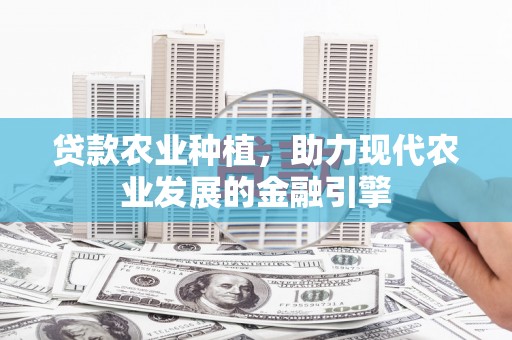 康乐贷款农业种植，助力现代农业发展的金融引擎