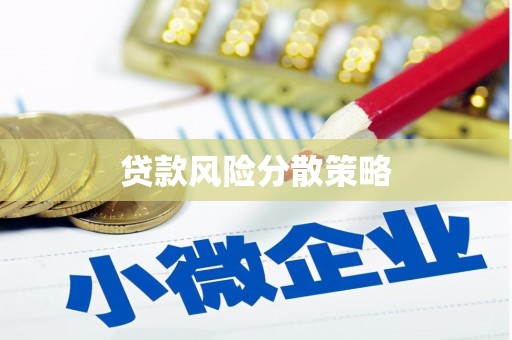 康乐贷款风险分散策略