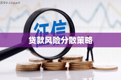 康乐贷款风险分散策略