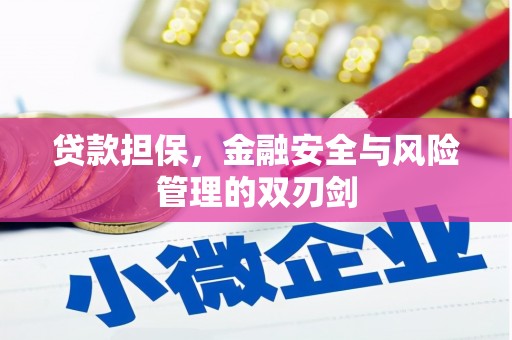 康乐贷款担保，金融安全与风险管理的双刃剑
