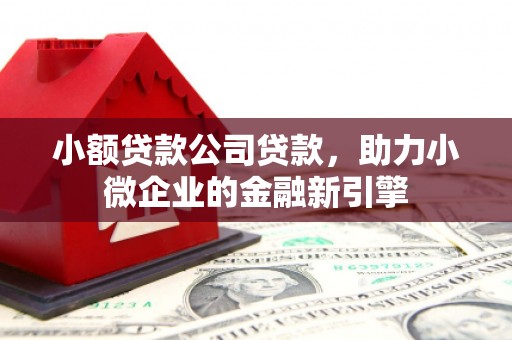 康乐小额贷款公司贷款，助力小微企业的金融新引擎