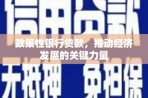 康乐政策性银行贷款，推动经济发展的关键力量
