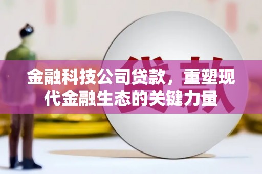 康乐金融科技公司贷款，重塑现代金融生态的关键力量